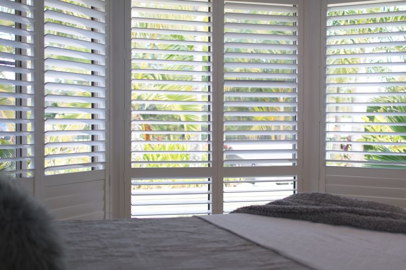 Plantation Shutter Painting